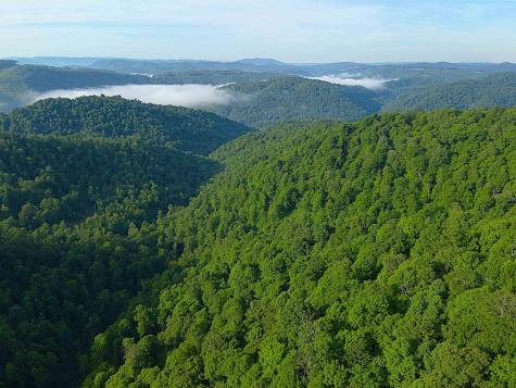 0 Calvert Shaver Road Rowlesburg WV 26425