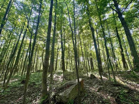 0 Calvert Shaver Road Rowlesburg WV 26425