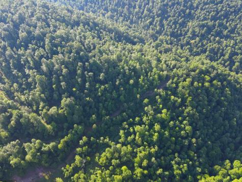 0 Calvert Shaver Road Rowlesburg WV 26425