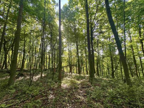 0 Calvert Shaver Road Rowlesburg WV 26425