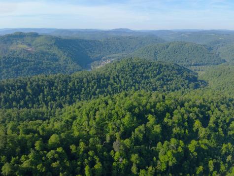 0 Calvert Shaver Road Rowlesburg WV 26425