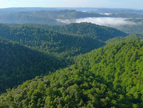 0 Calvert Shaver Road Rowlesburg WV 26425