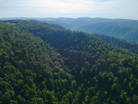 0 Calvert Shaver Road Rowlesburg WV 26425