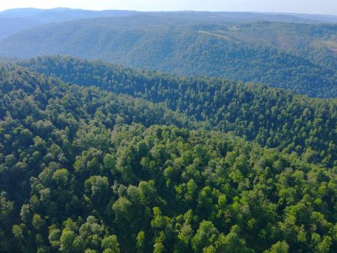 0 Calvert Shaver Road Rowlesburg WV 26425