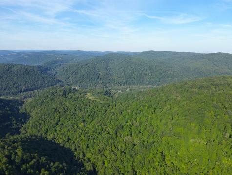 0 Calvert Shaver Road Rowlesburg WV 26425