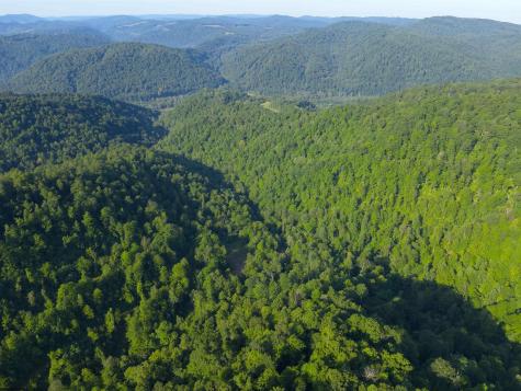 0 Calvert Shaver Road Rowlesburg WV 26425