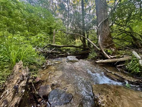 0 Calvert Shaver Road Rowlesburg WV 26425