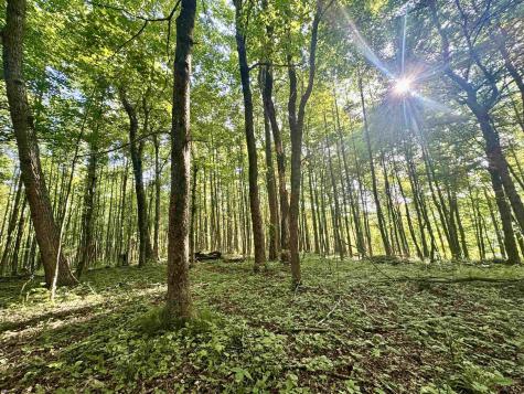 0 Calvert Shaver Road Rowlesburg WV 26425
