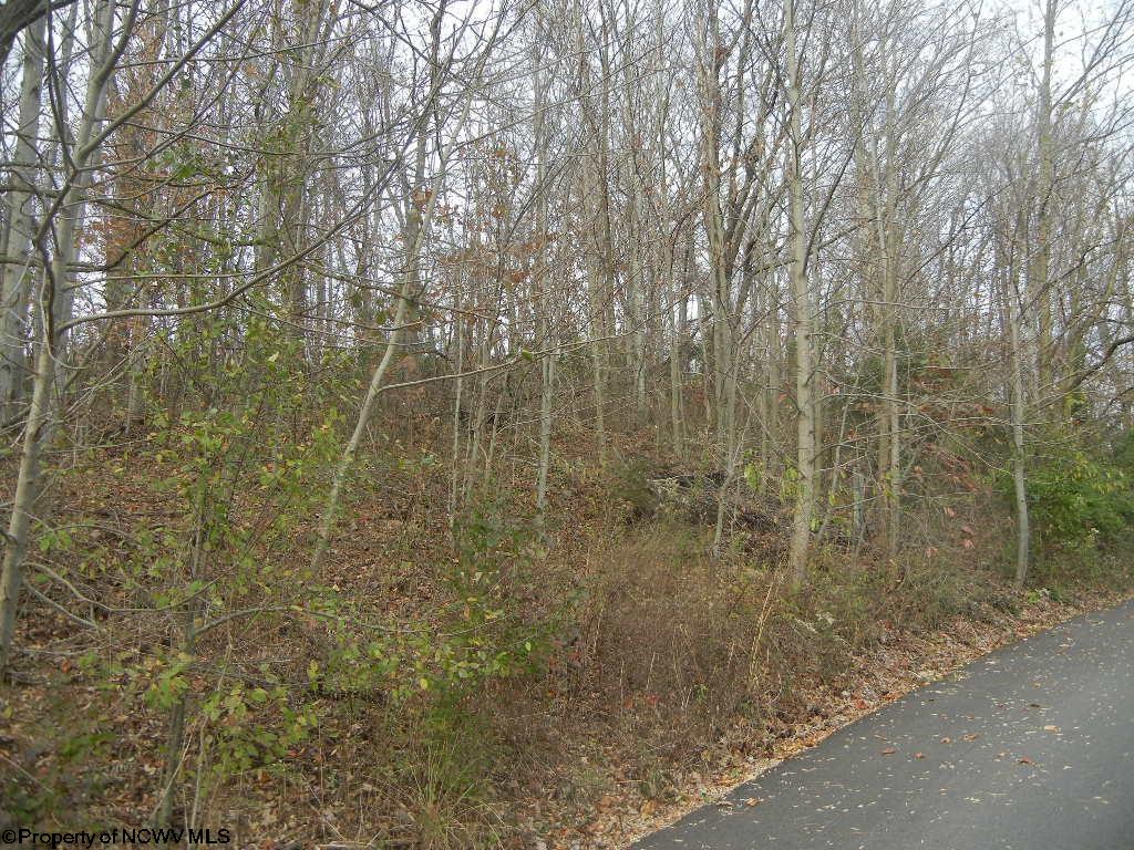 1 Lemley Street Morgantown WV 26505