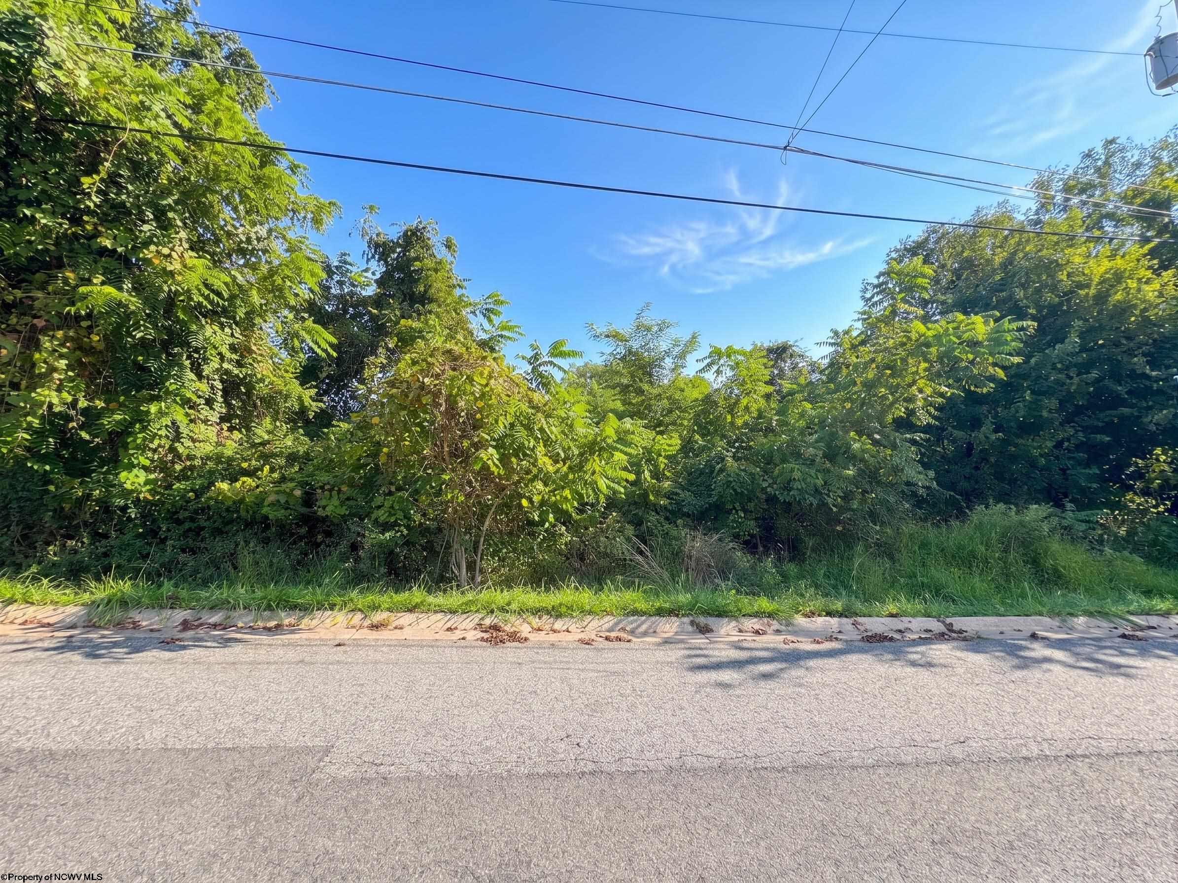 0 Spruce Street Fairmont WV 26554