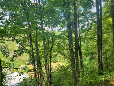 166 Brown Road Wallace WV 26448-8547