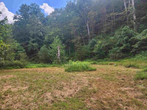 166 Brown Road Wallace WV 26448-8547