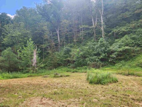166 Brown Road Wallace WV 26448-8547