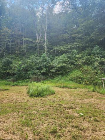 166 Brown Road Wallace WV 26448-8547