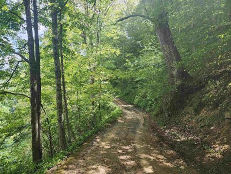 166 Brown Road Wallace WV 26448-8547