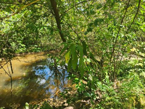 166 Brown Road Wallace WV 26448-8547