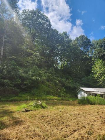 166 Brown Road Wallace WV 26448-8547