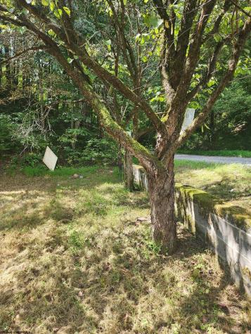 166 Brown Road Wallace WV 26448-8547