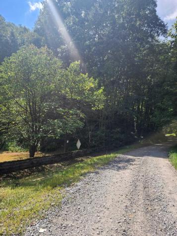 166 Brown Road Wallace WV 26448-8547