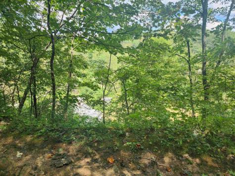 166 Brown Road Wallace WV 26448-8547