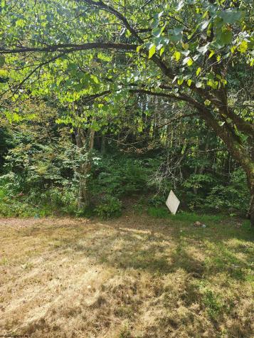 166 Brown Road Wallace WV 26448-8547