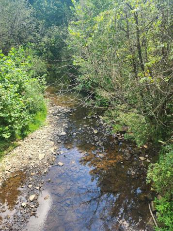 166 Brown Road Wallace WV 26448-8547