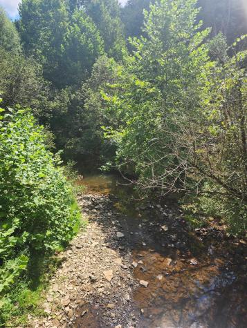 166 Brown Road Wallace WV 26448-8547