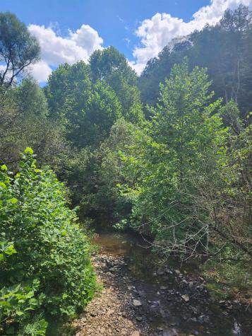 166 Brown Road Wallace WV 26448-8547