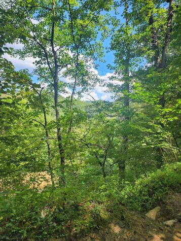 166 Brown Road Wallace WV 26448-8547