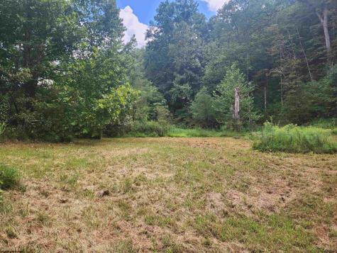 166 Brown Road Wallace WV 26448-8547