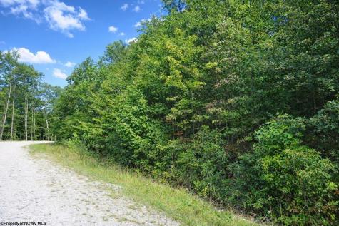 3101 W Teter Creek Road Belington WV 26250