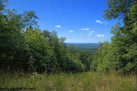 3101 W Teter Creek Road Belington WV 26250