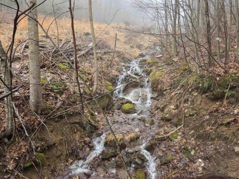 3101 W Teter Creek Road Belington WV 26250