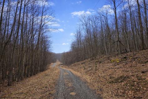 3101 W Teter Creek Road Belington WV 26250