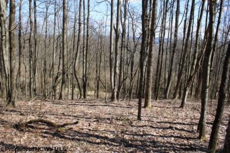 2 Sand Bank Heights Road Masontown WV 26542