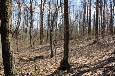 2 Sand Bank Heights Road Masontown WV 26542