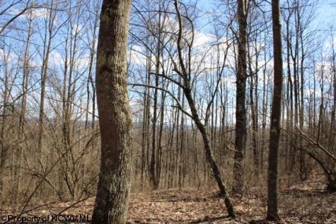2 Sand Bank Heights Road Masontown WV 26542