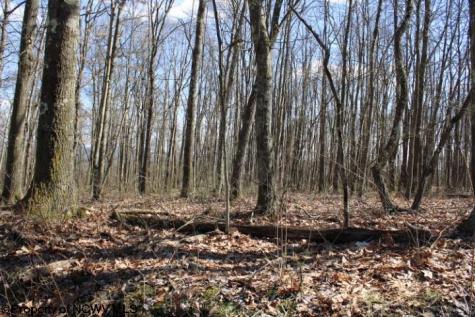 2 Sand Bank Heights Road Masontown WV 26542