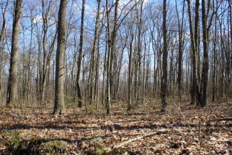 2 Sand Bank Heights Road Masontown WV 26542