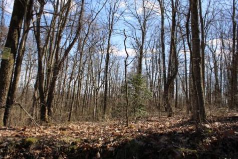 2 Sand Bank Heights Road Masontown WV 26542