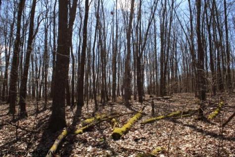 2 Sand Bank Heights Road Masontown WV 26542
