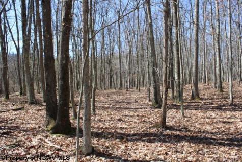 2 Sand Bank Heights Road Masontown WV 26542