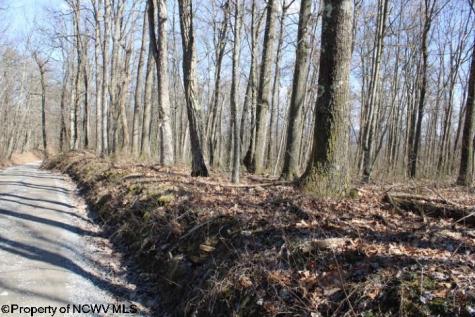 2 Sand Bank Heights Road Masontown WV 26542