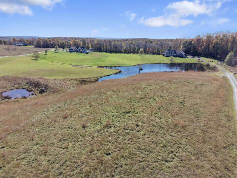 0 Thornberry Lane Ellamore WV 26267