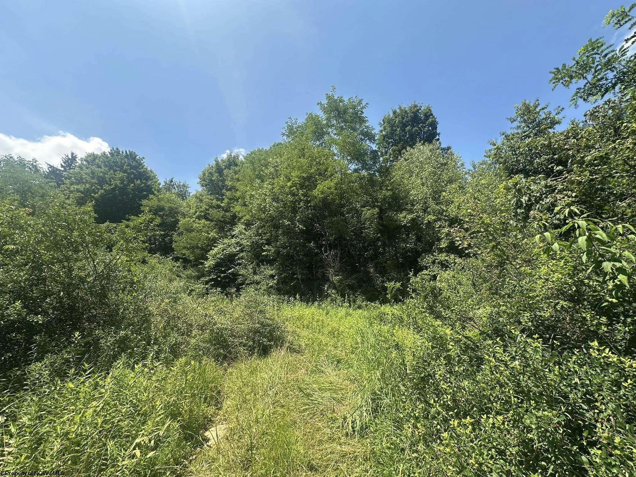 0 Kanes Creek Road Reedsville WV 26547