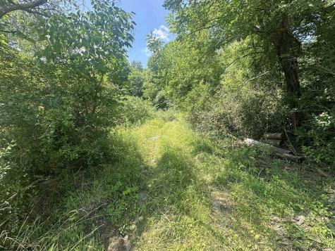 0 Kanes Creek Road Reedsville WV 26547