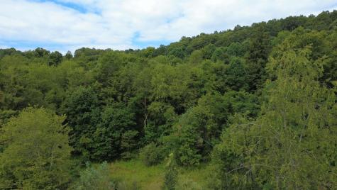 0 Kanes Creek Road Reedsville WV 26547