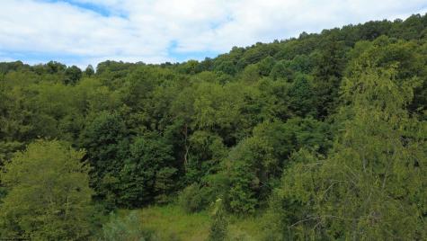 0 Kanes Creek Road Reedsville WV 26547