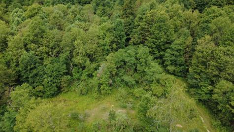 0 Kanes Creek Road Reedsville WV 26547