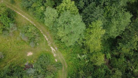 0 Kanes Creek Road Reedsville WV 26547